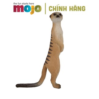 MÔ HÌNH ĐỘNG VẬT - CHỒN ĐẤT