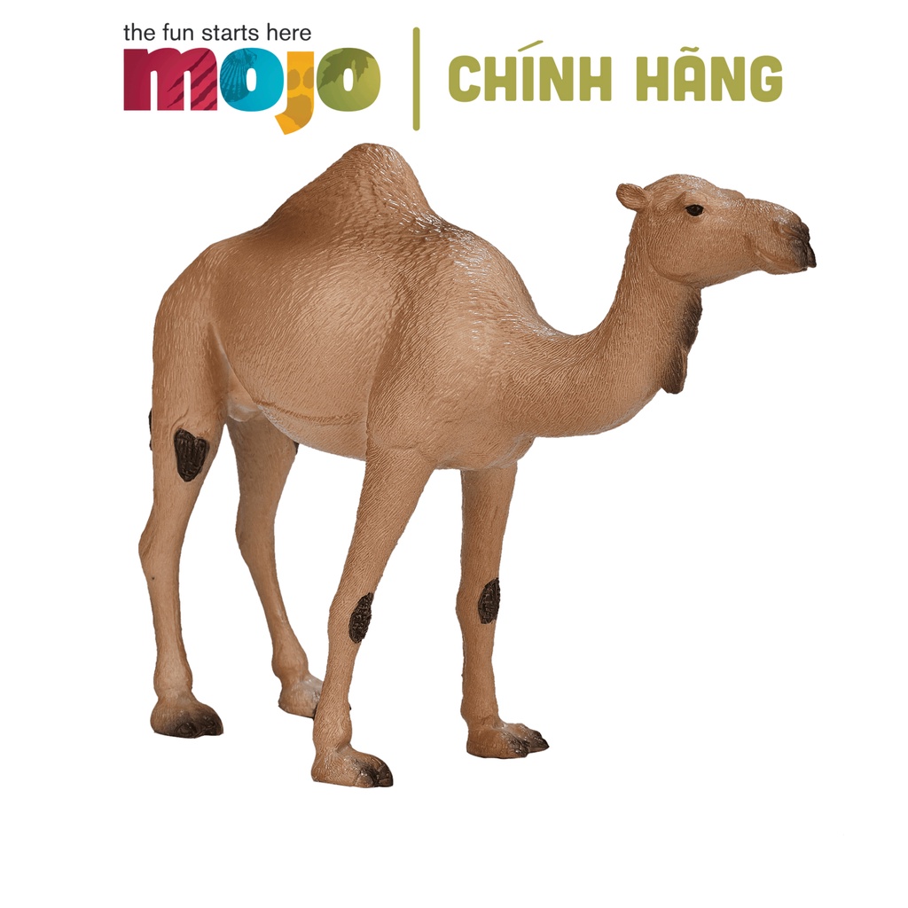 MÔ HÌNH ĐỘNG VẬT - LẠC ĐÀ