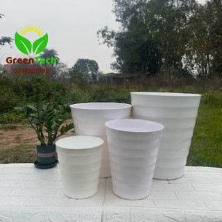 1 chậu nhựa trắng xoán 36 x 42 - chậu nhưa trông cây cảnh, cây hoa