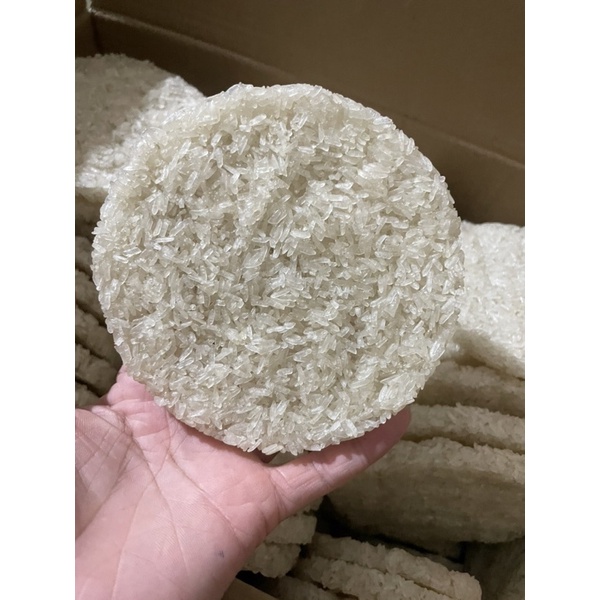 1kg cơm cháy chưa chiên tròn gạo nếp size 14cm