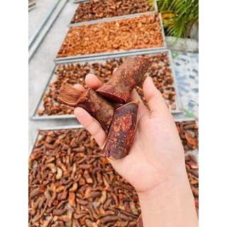 Rễ mú từn khô hàng Tây Bắc- bí quyết của phái mạnh