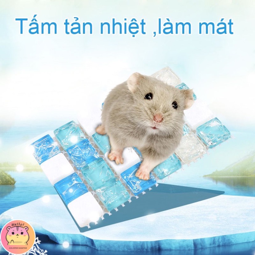 Đá làm mát, tản nhiệt mùa hè cho bé hamster , gunie pig - Gia đình hamter