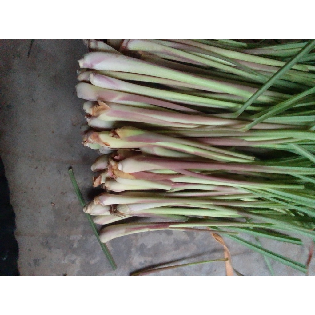 sả tươi 0,5kg
