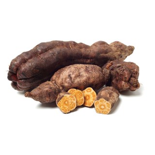 Hà Thủ Ô đỏ