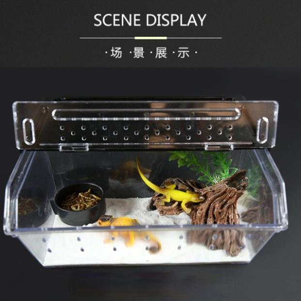 [Pet Mart] Bát đựng thức ăn, chén đựng sâu cho bò sát - chén ăn cho thú cưng bằng nhựa chính hãng No