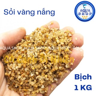 (1kg) Cát Sỏi Colorado Light Vàng Siêu Đẹp - Trải Nền Đường Đi Trang Trí Bể Cá Hồ Thủy Sinh