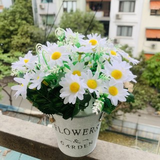 Hoa giả, chậu hoa cúc họa mi đẹp để bàn, kệ tủ trang trí phòng khách, quán cà phê nhà hàng phong cách vintage CM-10