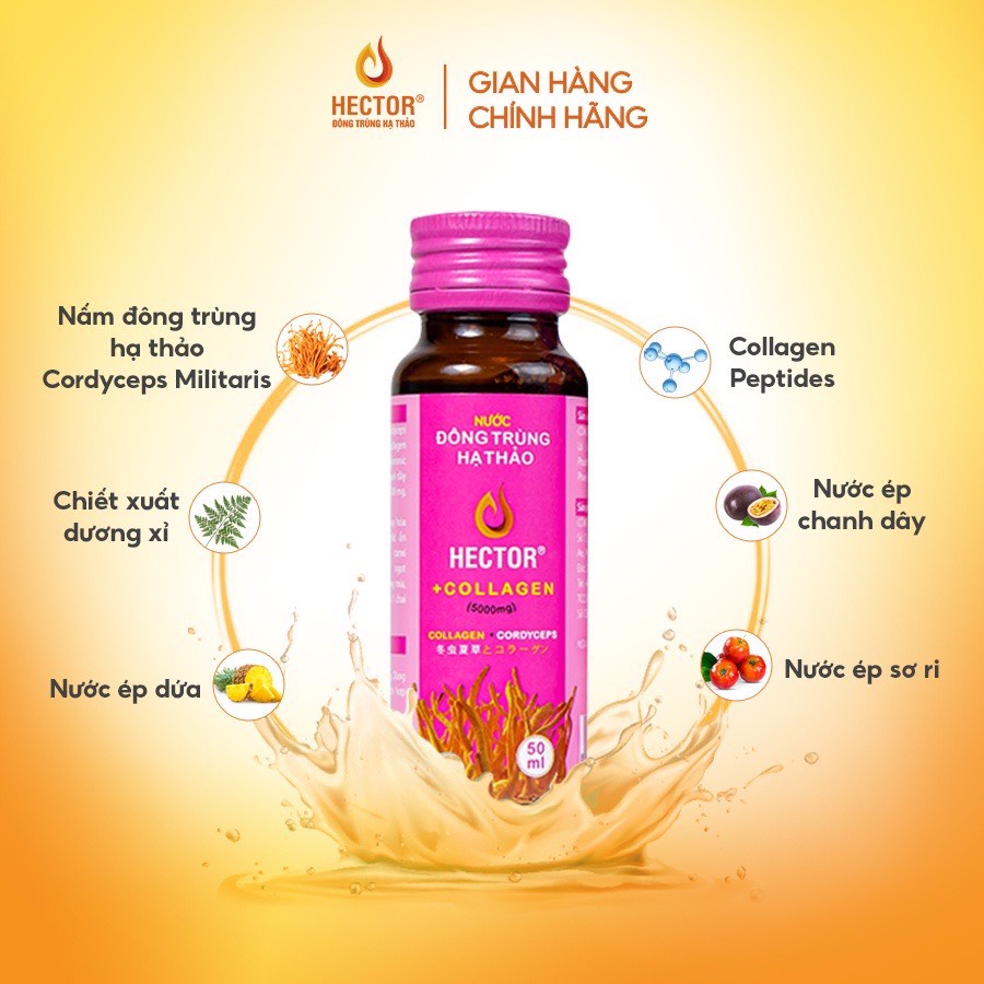 Nước Uống Collagen Đông Trùng Hạ Thảo Hector Hộp 10 chai