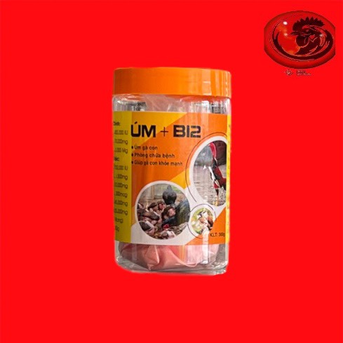 ÚM + B12 úm gà con, chống hao hụt, gà con phát triển mạnh, cứng gà hủ 150 Gam