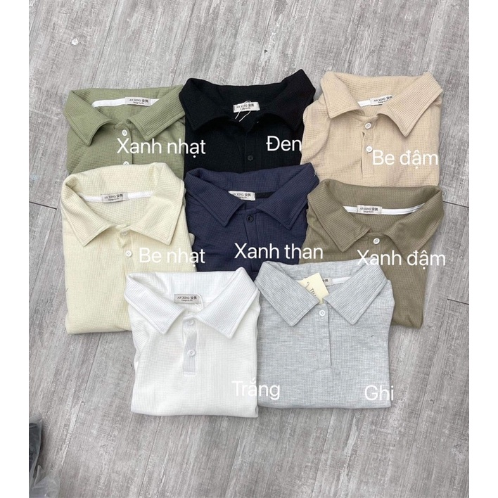 Áo polo trơn croptop nhiều màu Nana21 Nanastore21