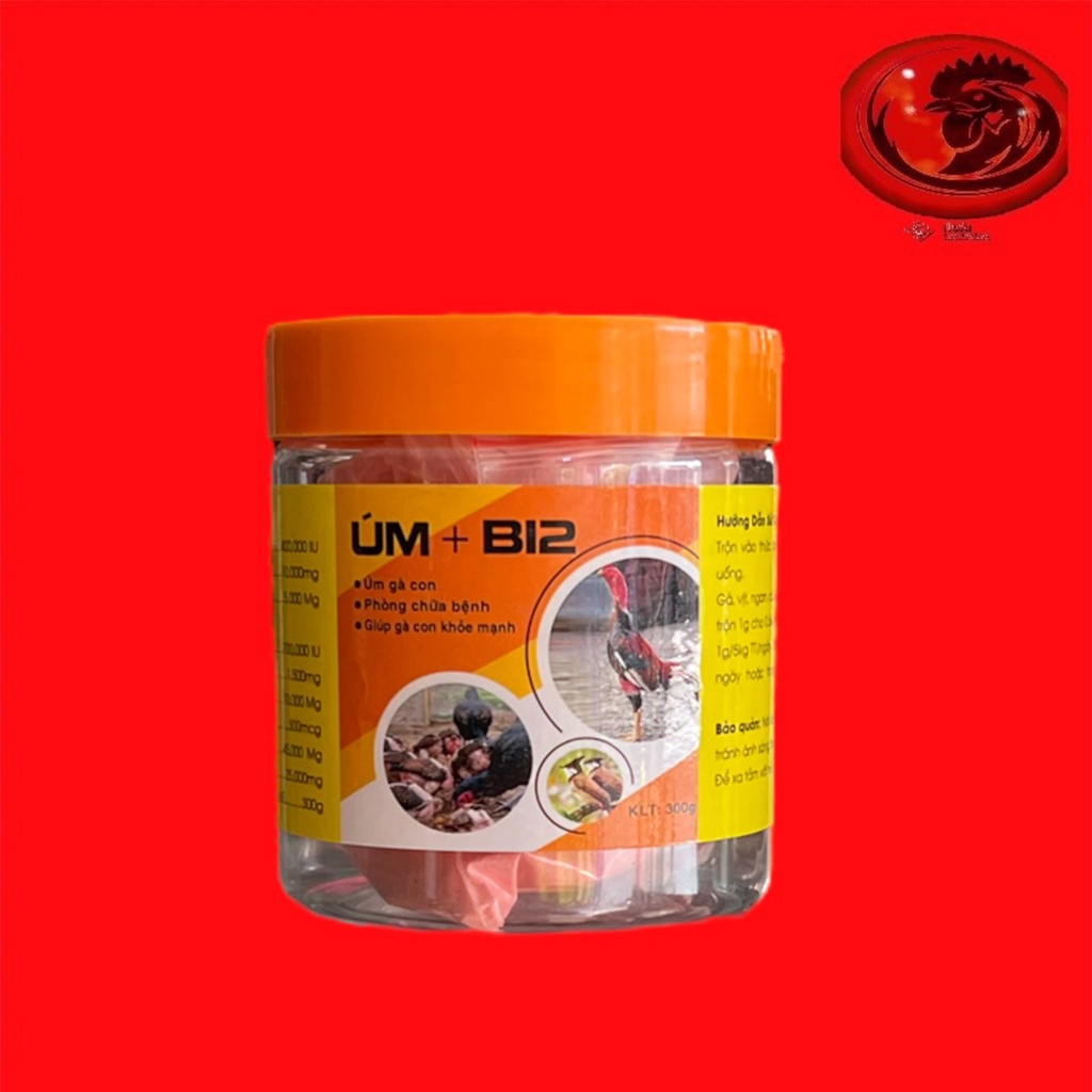 ÚM + B12 HỦ LỚN úm gà con, chống hao hụt, gà con phát triển mạnh, cứng gà