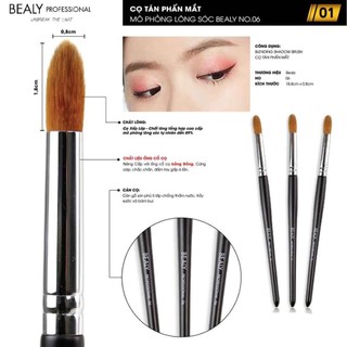 Bộ Cọ Tán Phấn Mắt Mô Phỏng Lông Sóc BEALY 6C