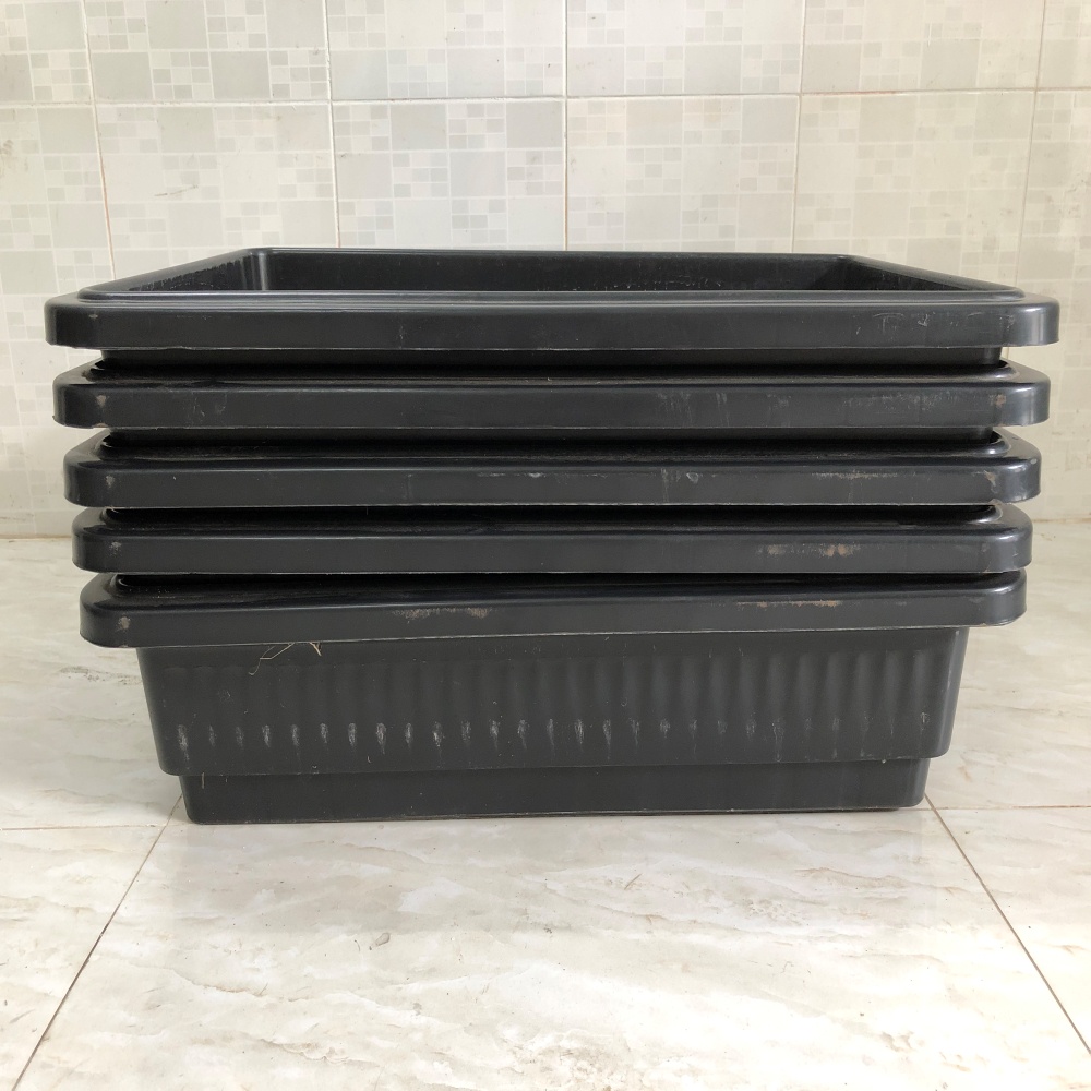 Khay chậu nhựa trồng rau sạch thông minh
