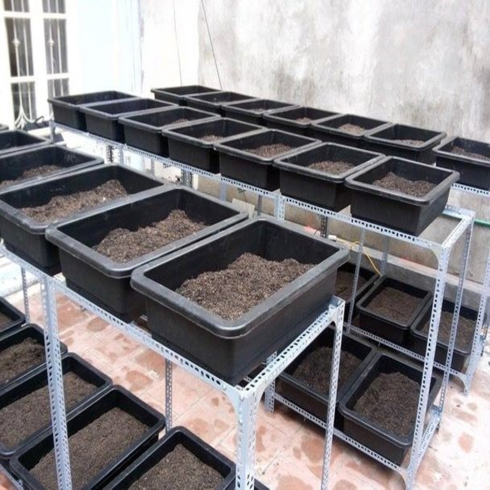 Khay chậu nhựa trồng rau sạch thông minh