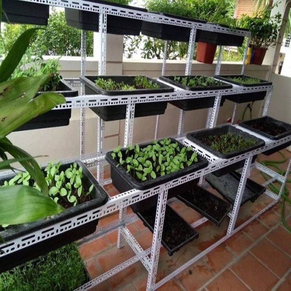 Khay chậu nhựa trồng rau sạch thông minh