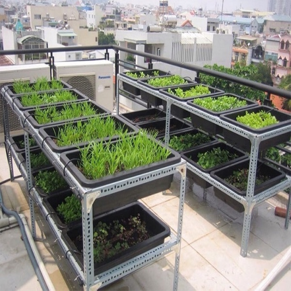 Khay chậu nhựa trồng rau sạch thông minh