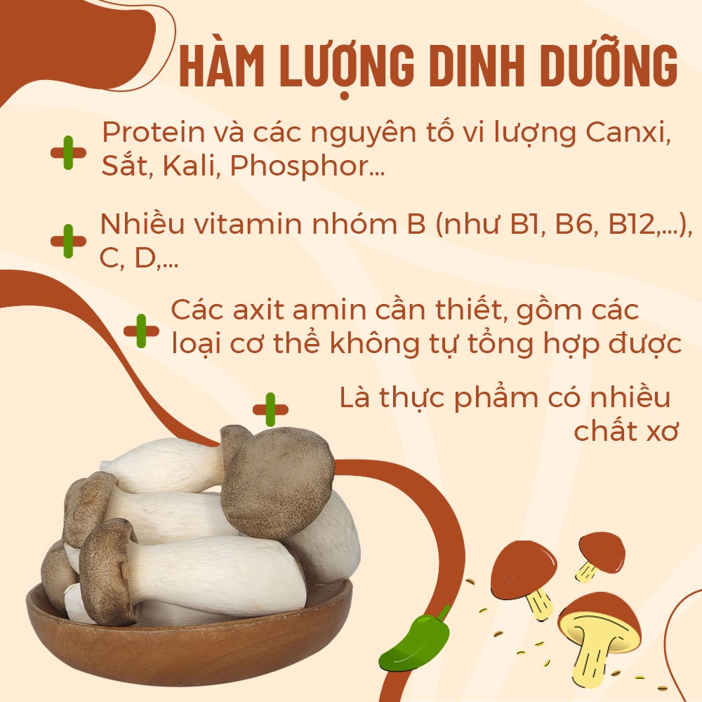 [HCM] Nấm Đùi Gà Baby (Nhỏ) Tươi Ngon Dễ Dùng 200gr 500gr 1kg - Nông Trại Nấm Xanh