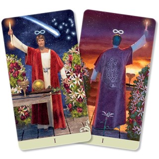 Bộ Bài Vice Versa Tarot Booklet (Guu Tarot Shop)