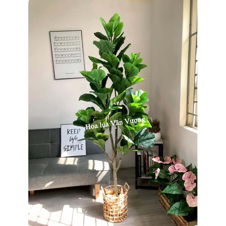 CÂY GIẢ 🌺 CÂY BÀNG GIẢ CAO 1,7M
