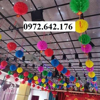 [Kho Sỉ] 10 cẩm tú cầu đủ màu trang trí ngoài trời