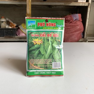 Hạt giống cải bó xôi