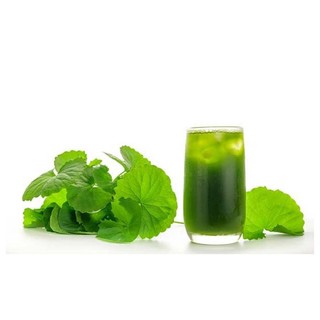 BỘT RAU MÁ HŨ 500G