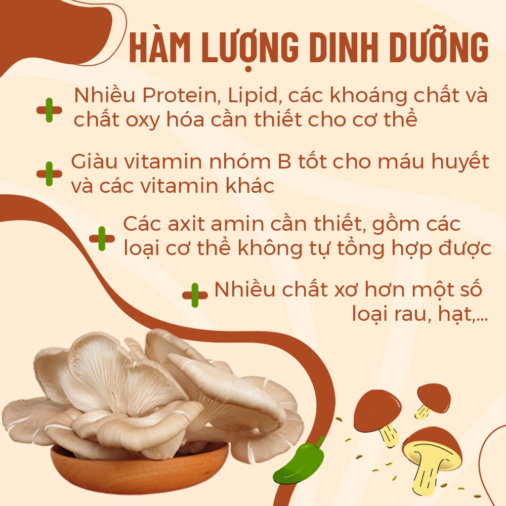 [Hỏa Tốc HCM] 1kg Nấm Bào Ngư Xám Tươi Ngon Dày Ngọt Sạch Thanh Đạm - Nông Trại Nấm Xanh