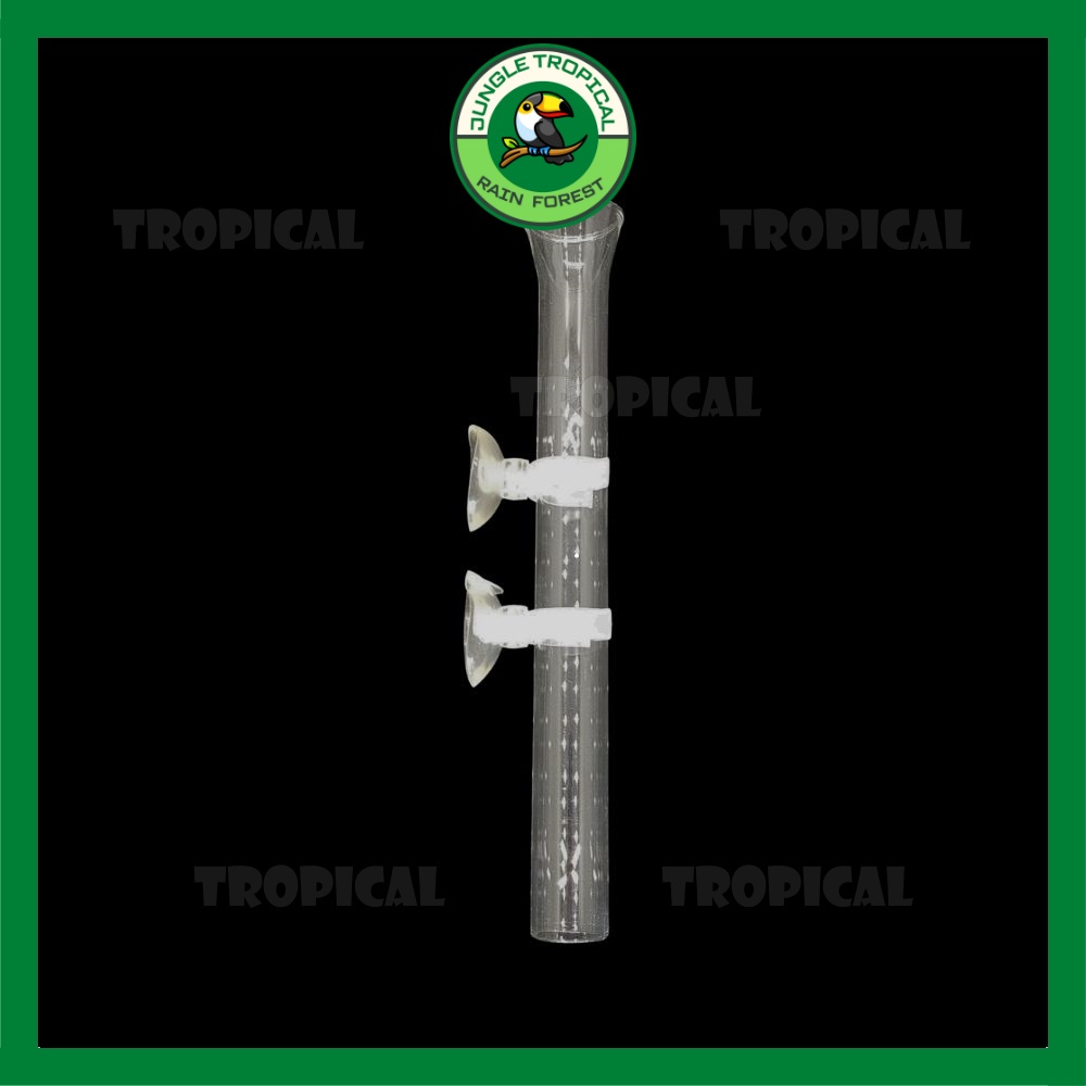 Ống thuỷ tinh cho cá ăn 20 cm - 30 cm - 40 cm - kèm gông + hít giữ ống