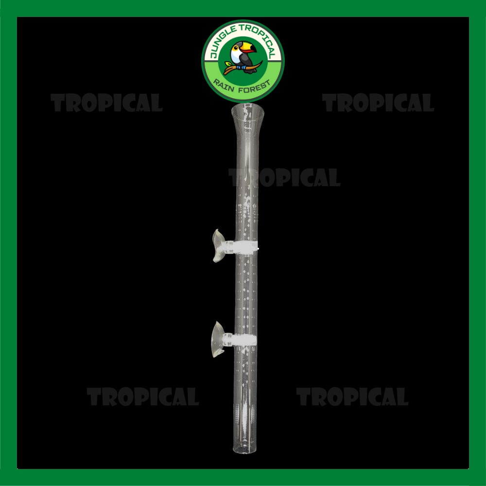 Ống thuỷ tinh cho cá ăn 20 cm - 30 cm - 40 cm - kèm gông + hít giữ ống