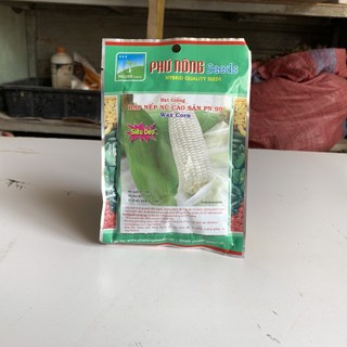 Hạt giống bắp nếp nù cao sản pn 99