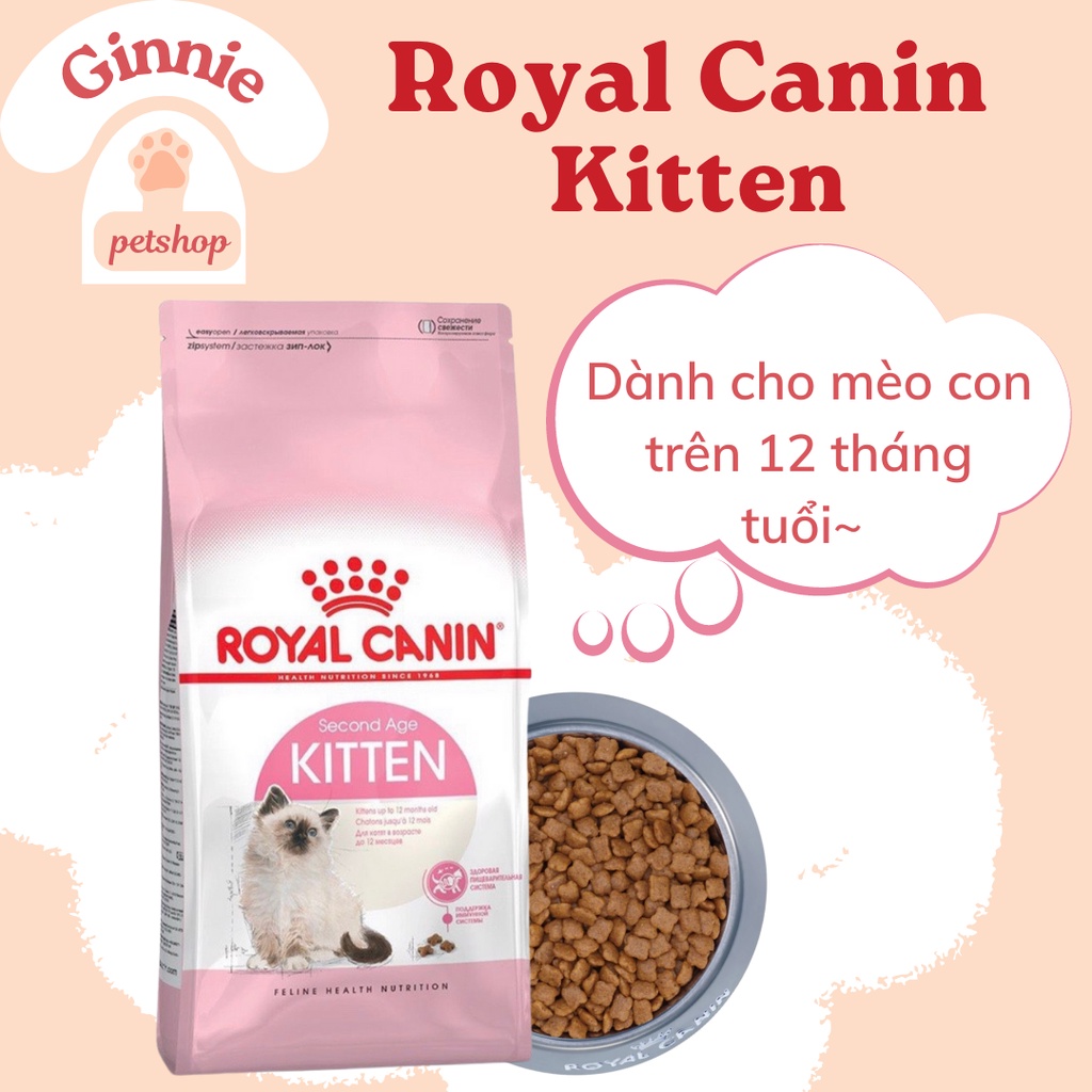 [Có sẵn] Hạt Royal Canin Kitten Cho Mèo Con