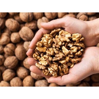 Hạt óc chó D2 Green 500gr hạt óc chó được tách từ quả óc chó hàng loại 1 vỏ sấy chín ăn liền giòn thơm bùi bùi