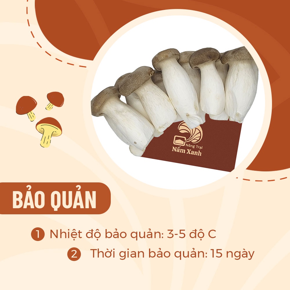 [HCM] Nấm Đùi Gà Baby (Nhỏ) Tươi Ngon Dễ Dùng 200gr 500gr 1kg - Nông Trại Nấm Xanh