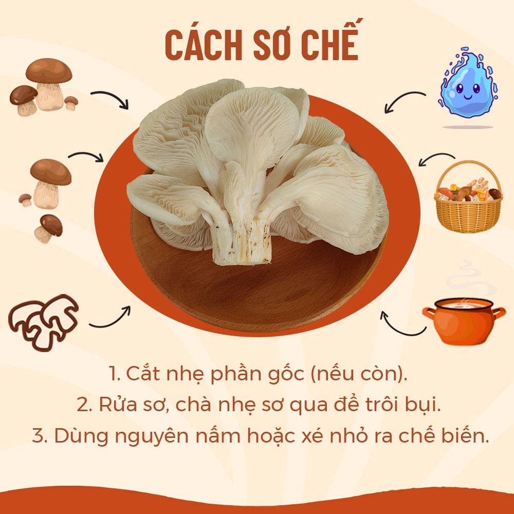 [HCM] 1kg Nấm Sò Trắng Tươi Sạch Ngon Ngọt Thanh Vị - Nông Trại Nấm Xanh