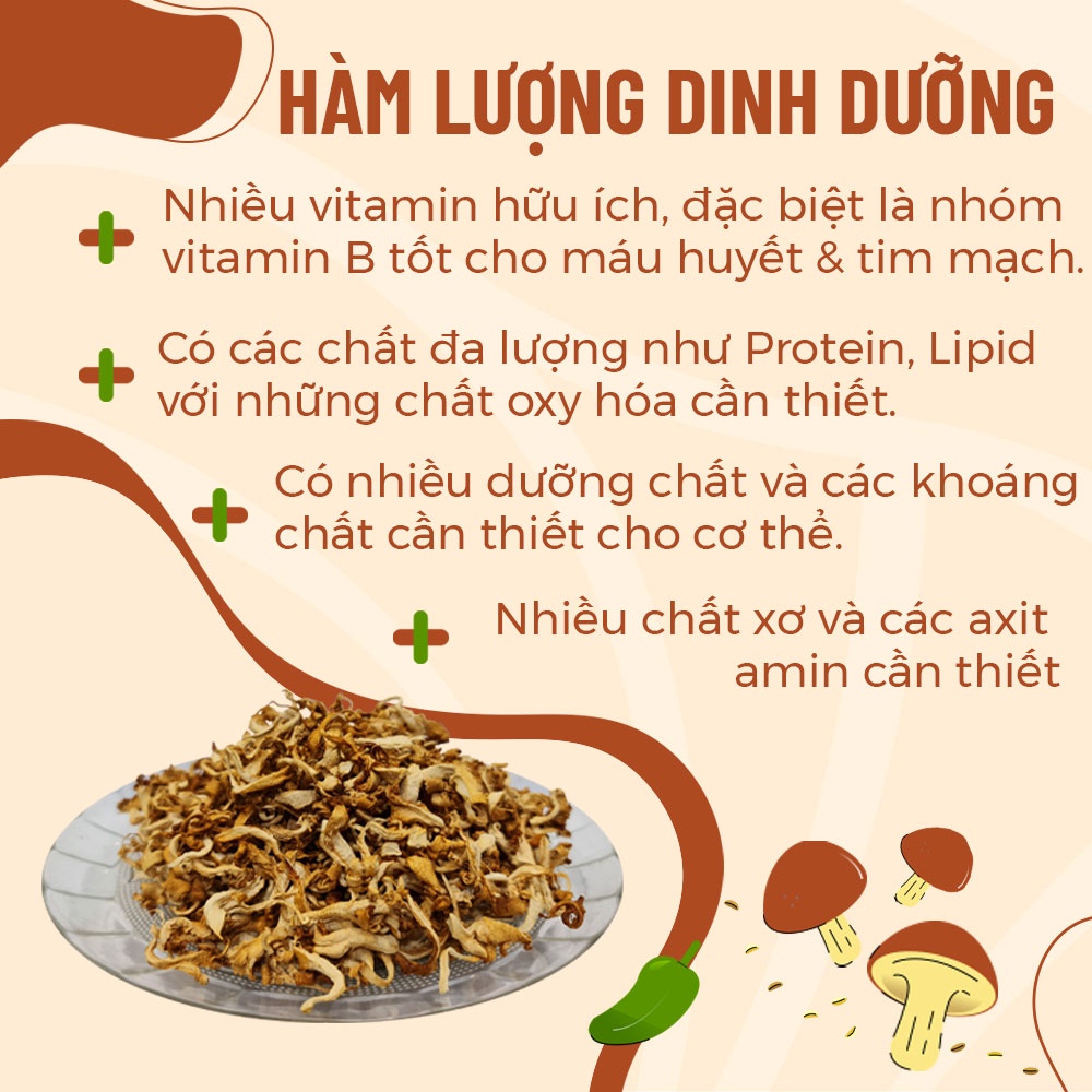 Nấm Sò Trắng Khô Sấy Nhiệt Túi 500gr 1kg Loại Thượng Hạng Sạch Ngon Giòn Rụm - Nông Trại Nấm Xanh