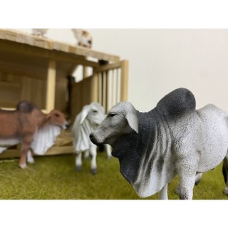 Mô hình động vật: Bò bố Brahman ( Chính hãng)