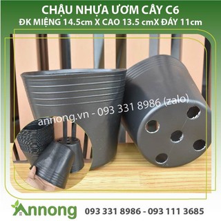 Combo 10 chậu nhựa trồng cây c6