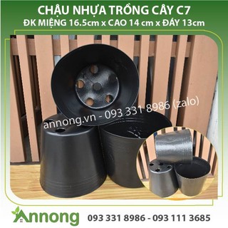 Combo 10 chậu nhựa trồng cây c7