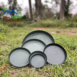 Đĩa Xanh Quân Đội đủ size chậu