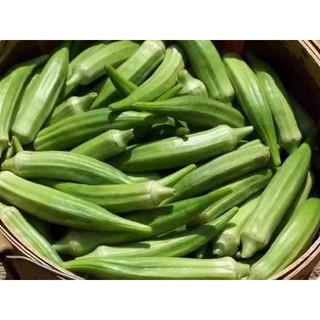 Hạt giống đậu bắp cao sản siêu quả thái lan gói 30 hạt