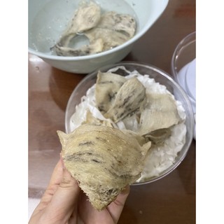 - yến thô 100gr nguyên chất tổ bánh mì nở nhiều + Tặng kèm nguyên liệu chưng Yến - - Yến Sào Nhà Tôm.