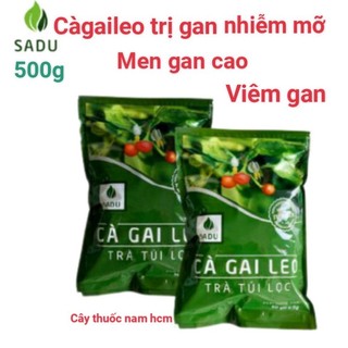 2 bịch trà cà gai leo túi lọc Sadu