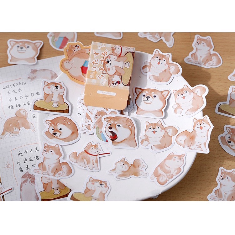 Sticker Hộp 45 Miếng Dán Hình Thú Kèm Đồ Ăn Xinh Xắn , Hộp Nhãn Dán Trang Trí Sổ Tay Bullet Journal