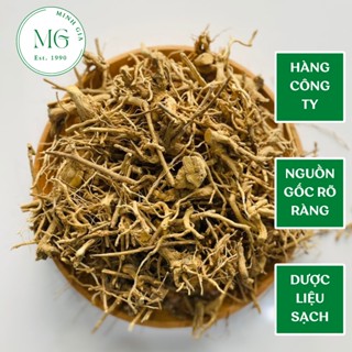 Rễ Cà Gai Leo Sao Vàng Hạ Thổ 1Kg 3 Năm Tuổi Hoạt Chất Cao