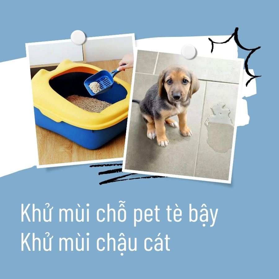 Xịt khử mùi nước tiểu chó mèo Beoncare Hương Cafe mới,  khử mùi chậu cát, hỗ trợ pet đi vệ sinh đúng chỗ