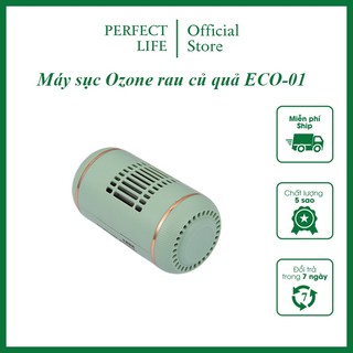 Máy sục ozone rửa rau quả thực phẩm eco-01, máy vệ sinh thực phẩm tại nhà hiệu quả