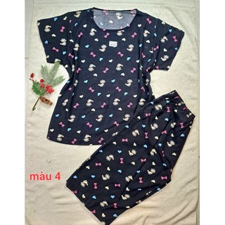 Bộ lanh/Tole thái lững form to