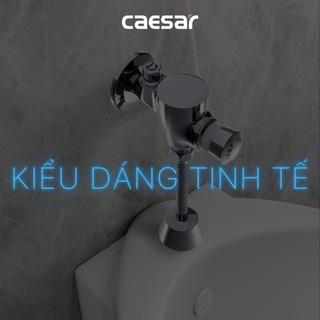 Bộ Xả Ấn Tay Bệ Tiểu (Van Tiểu Nam) - BF412G