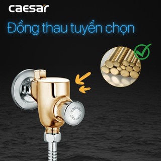 Bộ Xả Ấn Tay Bệ Tiểu (Van Tiểu Nam) - BF412G