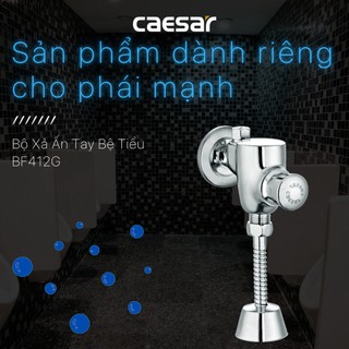 Bộ Xả Ấn Tay Bệ Tiểu (Van Tiểu Nam) - BF412G